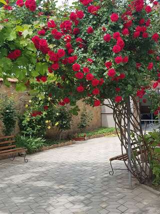 Гостиница Виноградная Лоза Евпатория-0